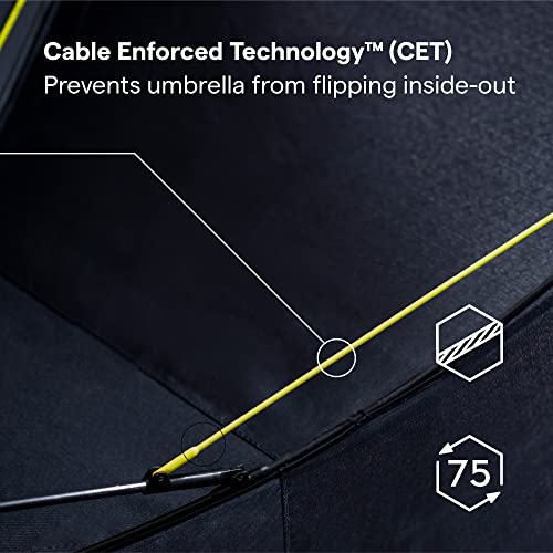 Windproof Compact Umbrella G1568