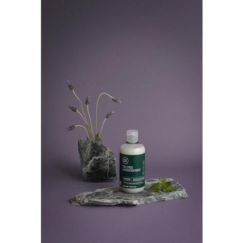 Tea Tree Lavender Mint Moisturizing Conditioner for Dry Hair Y29323