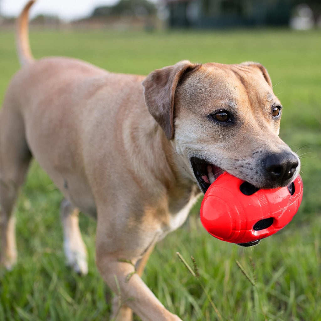 Rubber Football Dog Toy with Squeaker, 6 Inch, for Medium/Large Breeds K88639