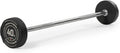 Titan Fitness 40 LB Rubber Straight Fixed Barbell, Pre-Loaded Weight Bar for Strength Training & Weightlifting