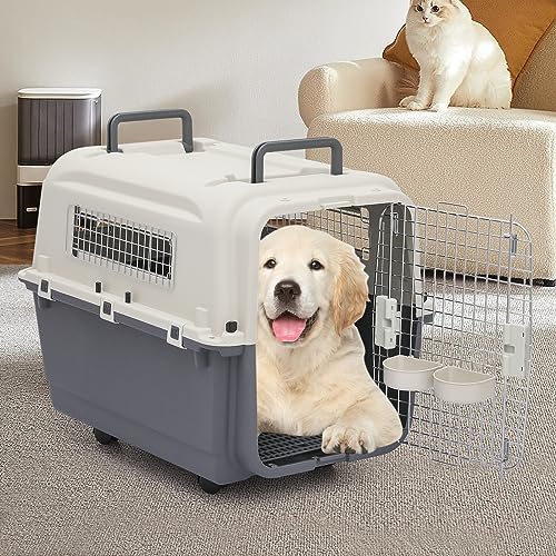 Plastic Pet Carrier, 22-Inch Hard-Sided Kennel for Small Dogs and Cats H410
