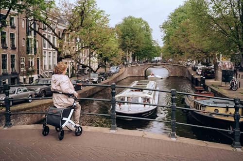 Upright Rollator Walker with Seat, Lightweight Folding Walker with Wheels and Shopping Bag V3035