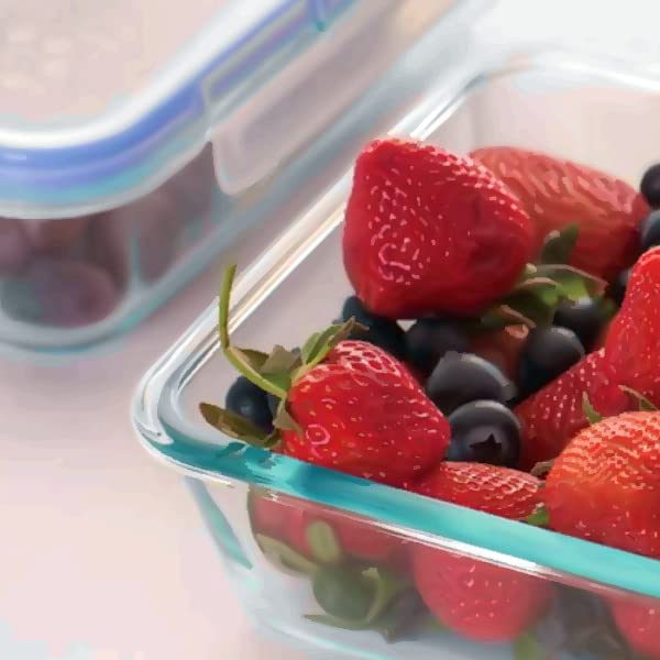 2-Cup Rectangle Glass Food Storage Containers, Pack of 2 E7781