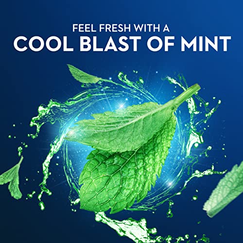 Dental Floss Picks, Mint, 450 Count N470