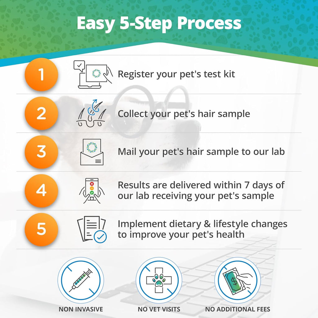 Pet Raw Food Intolerance & Environmental Sensitivity Test, At-Home Hair Sample Kit for Dogs & Cats O873651
