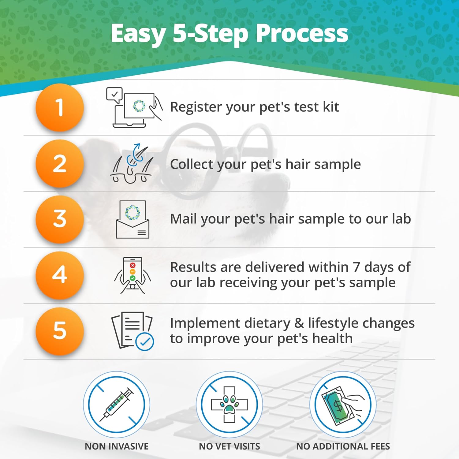 Pet Raw Food Intolerance & Environmental Sensitivity Test, At-Home Hair Sample Kit for Dogs & Cats O873651