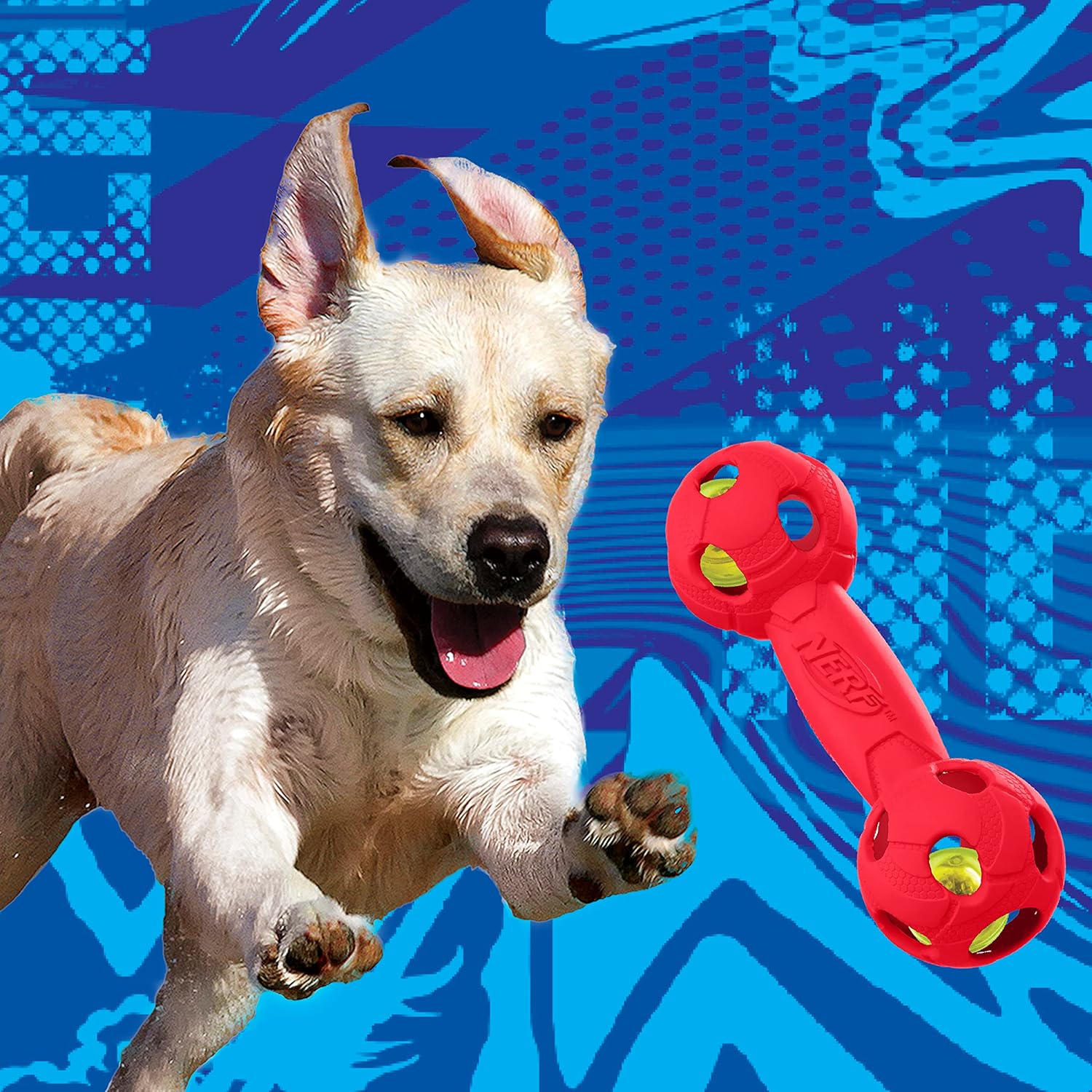Rubber Barbell Dog Toy with LED, Lightweight, Durable, 7 Inches Y4674