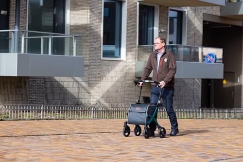 Upright Rollator Walker with Seat, Lightweight Folding Walker with Wheels and Shopping Bag V3035