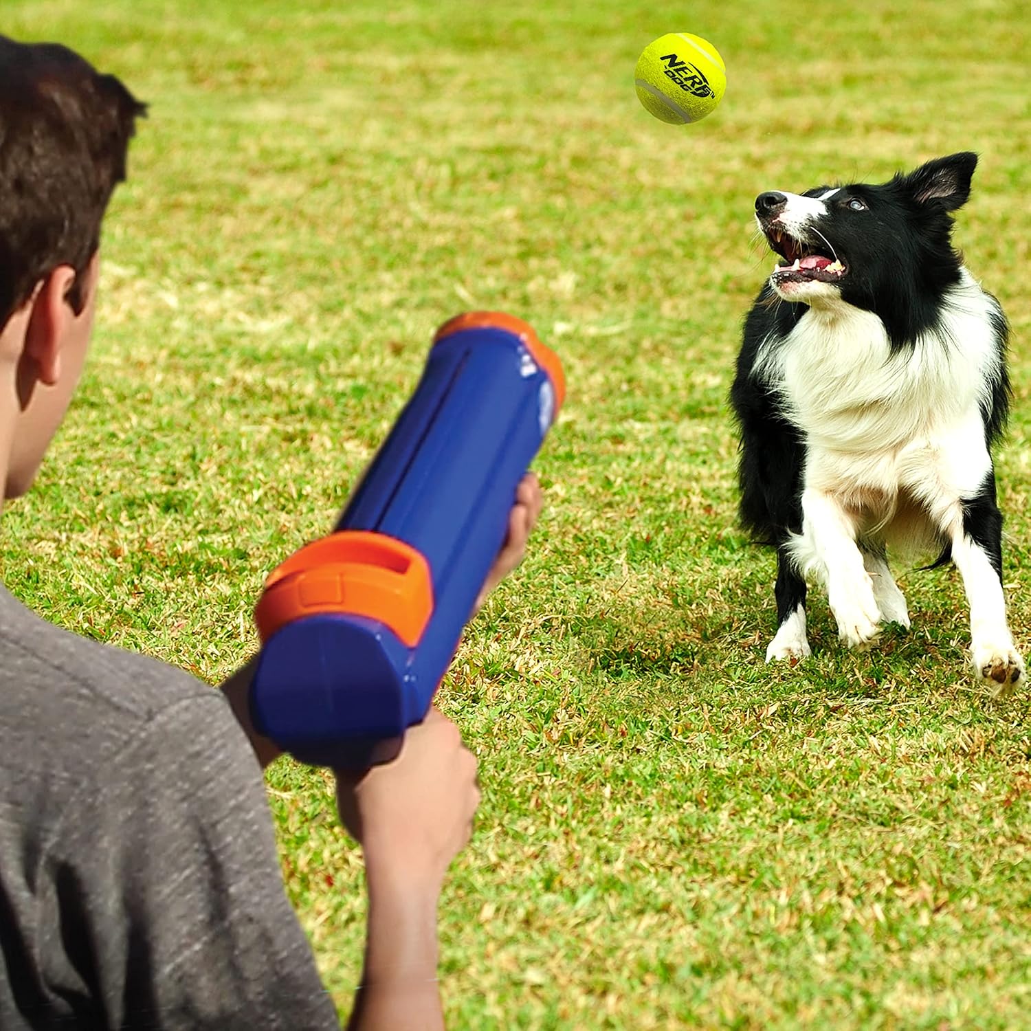 Dog Tennis Ball Blaster Toy X696389