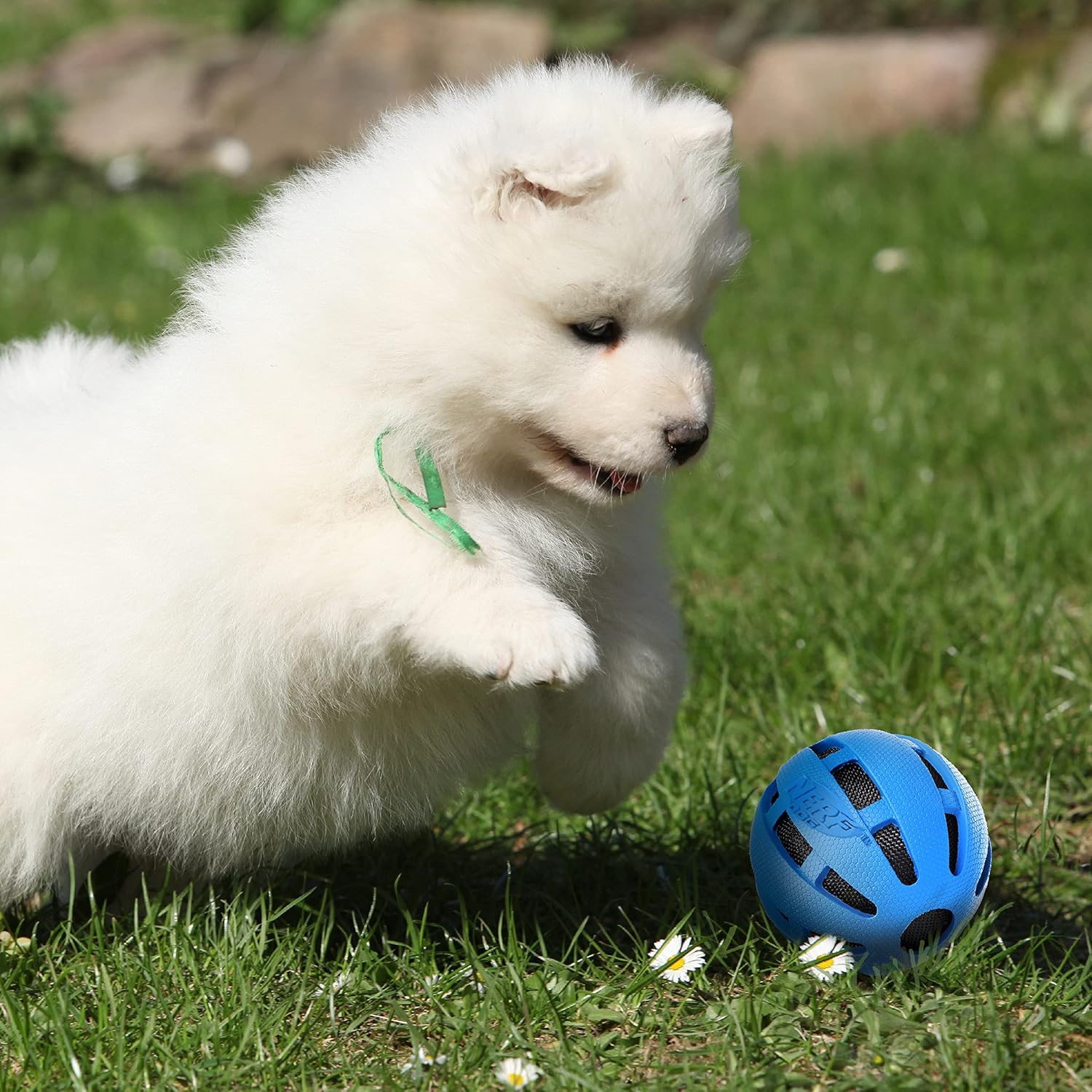 Rubber Ball Dog Toy for Medium/Large Dogs X991