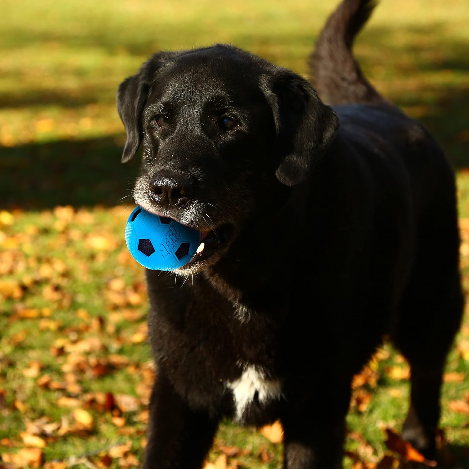 Dog Soccer Ball Toy with Interactive Crunch, Lightweight, Durable, 3 Inches, Two Pack F2196