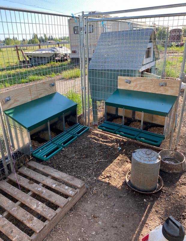 3 Compartment Roll Out Nesting Box for Chickens with Lid and Perch V75738