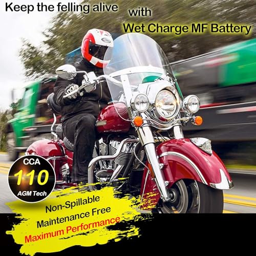 Sealed AGM Motorcycle Battery R461