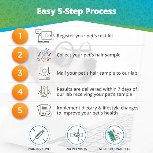 Pet Food Intolerance Test for Dogs & Cats, 272 Items, Hair Analysis, Results in 5 Days B446570