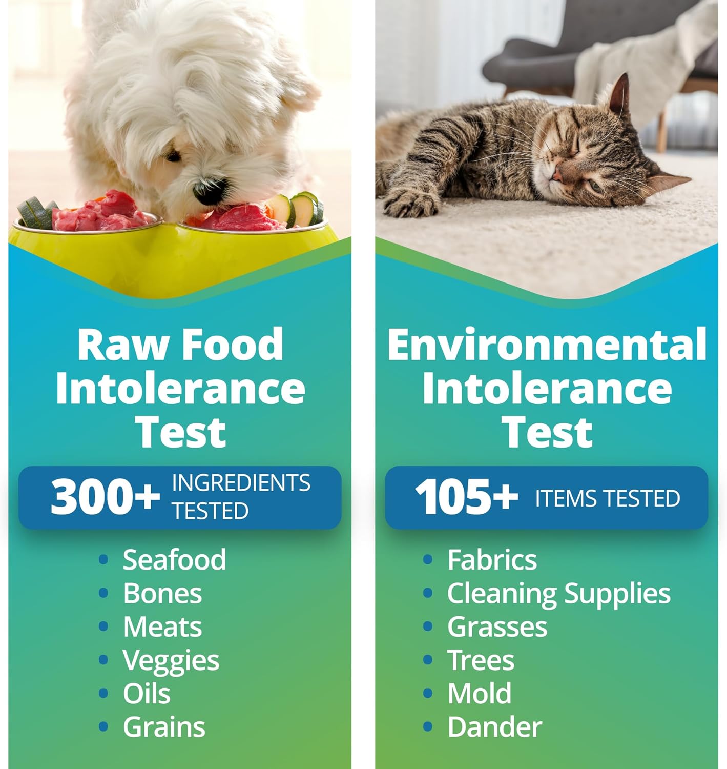 Pet Raw Food Intolerance & Environmental Sensitivity Test, At-Home Hair Sample Kit for Dogs & Cats O873651