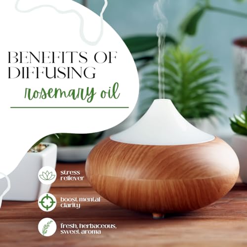 Rosemary Essential Oil 16 fl oz, Pure & Uncut, Aluminum Bottle M11502