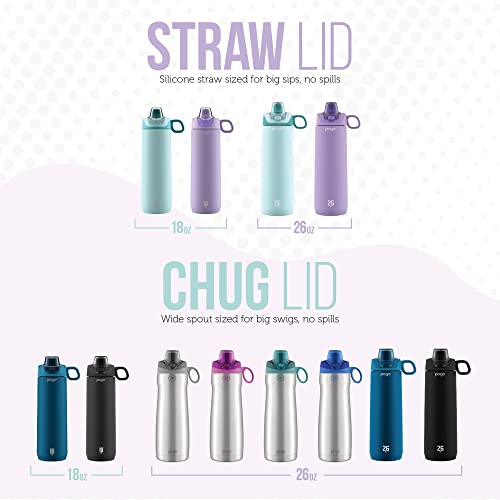 Vacuum Insulated Stainless Steel Water Bottle with Leak Proof Lid, 26 oz H605