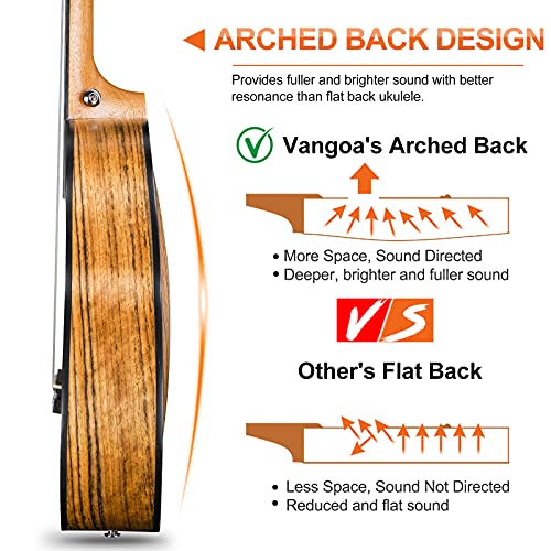 Concert Ukulele 23 Inches Walnut Wood Acoustic Beginner Set with Gig Bag T354290