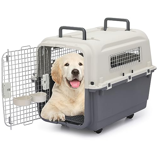 Magshion Pets Plastic Carrier, 22-Inch Hard-Sided 2-Door Top-Loading Kennel for Small Dogs and CatsLonger Traveling, Durable Handle, and 4 Sides Ventilation for Pet Up 22 lbs (White+Green)