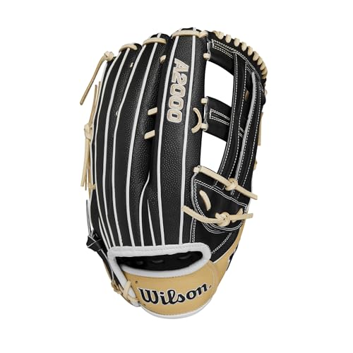 Slowpitch Softball Glove D449