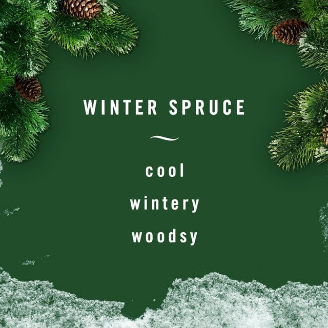 Air Freshener Odor Fighting Spray, Winter Spruce Pine Scent, 8.8 oz. (Pack of 3) Z4808