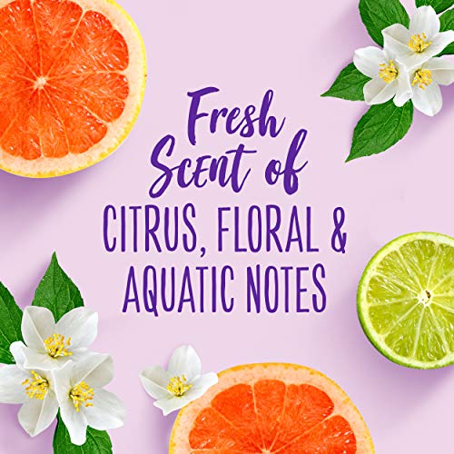 Non-Aerosol Hairspray with Jojoba Oil & Sea Kelp F1819