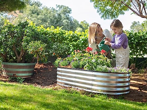 Galvanized Raised Garden Beds Outdoor 8x4x1 ft 2-Pack Planter for Vegetables Flowers H771