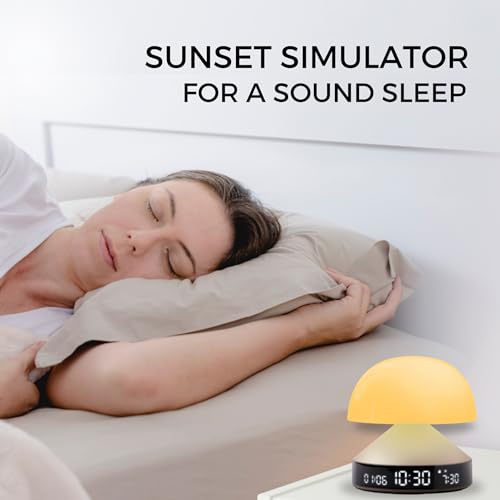 Sunrise Alarm Clock with Wake Up Light and Sunset Lamp D4313