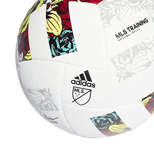 Training Soccer Ball Z392609