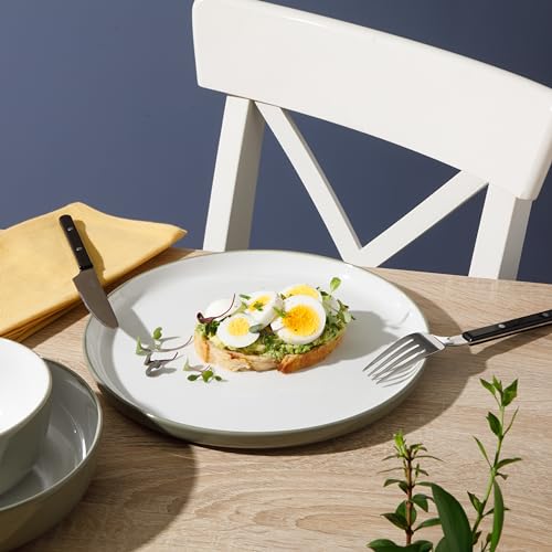 Porcelain Dinnerware Plates and Bowls Set, Service for 4, Blue/White G109