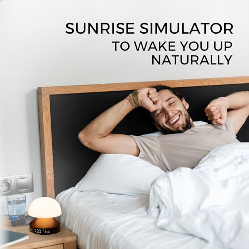Sunrise Alarm Clock with Wake Up Light and Sunset Lamp D4313