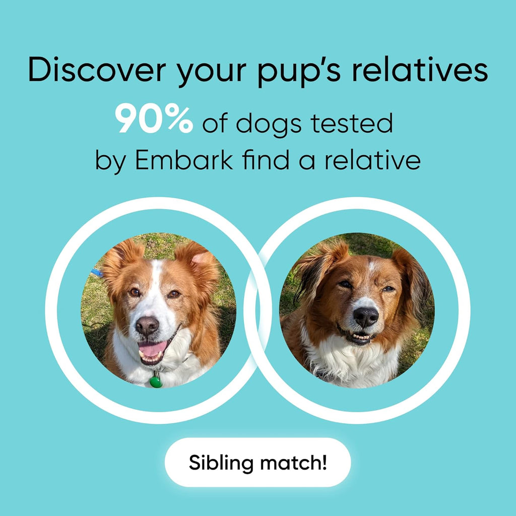 Dog DNA Test & Age Test Bundle N2336