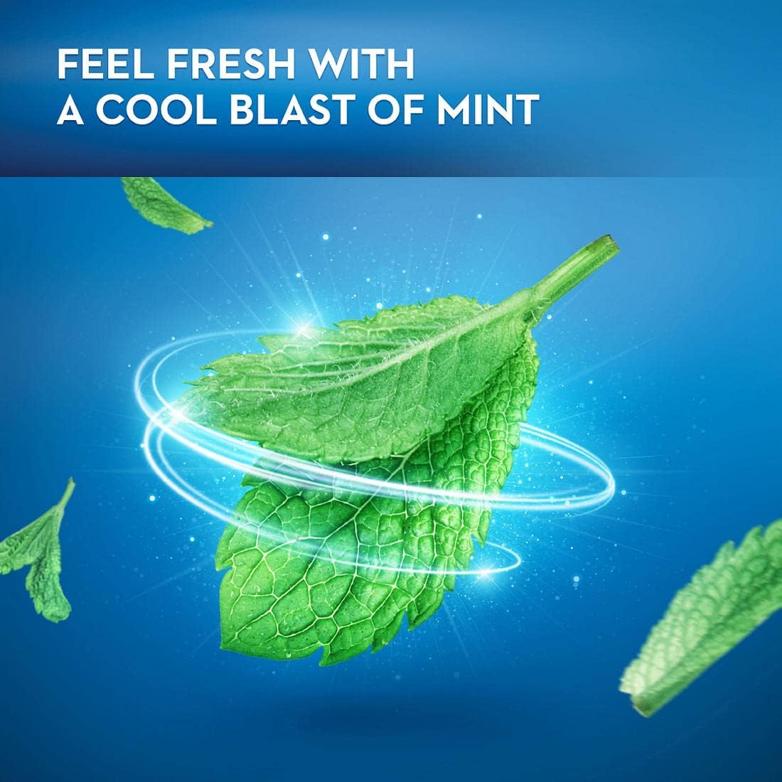 Dental Floss, Mint, 6 Count C1058