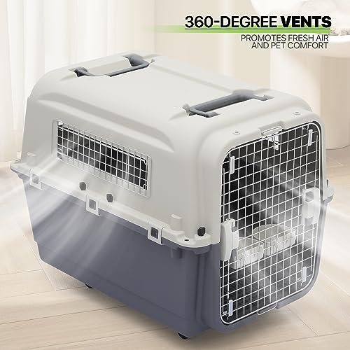 Plastic Pet Carrier, 22-Inch Hard-Sided Kennel for Small Dogs and Cats H410