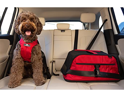 Airline Approved Pet Carrier and Crash-Tested Car Seat for Cats and Dogs up to 18 lbs U355309