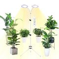 yadoker Halo Grow Light, Full Spectrum LED Floor Plant Light for Indoor Plants, Grow Lamp with 8H/12H/16H Timer, 10-Level Brightness, Height Adjustable, Flexible Gooseneck,Ideal for Tall Plants