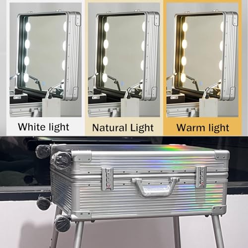Rolling Makeup Train Case with Lighted Mirror, Aluminum Trolley Travel Organizer H100026