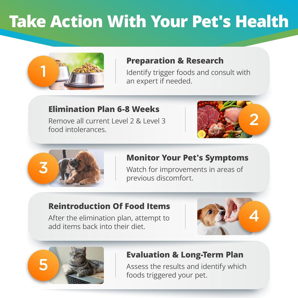 Pet Raw Food Intolerance & Environmental Sensitivity Test, At-Home Hair Sample Kit for Dogs & Cats O873651