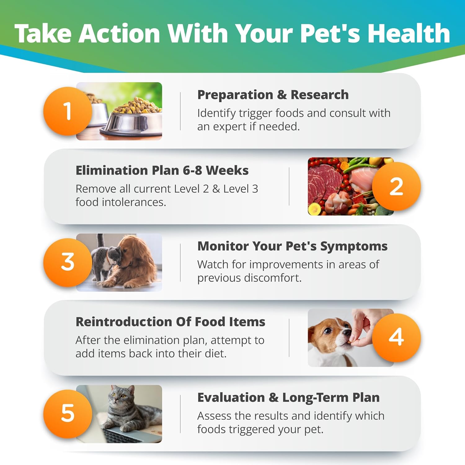 Pet Raw Food Intolerance & Environmental Sensitivity Test, At-Home Hair Sample Kit for Dogs & Cats O873651