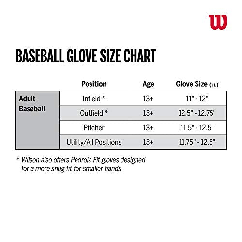 A2000 Baseball Glove M440324