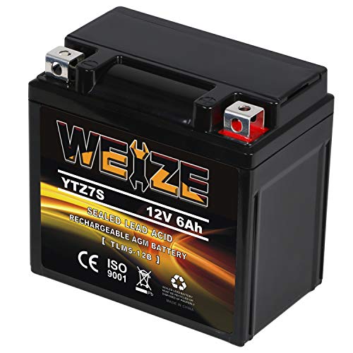 Sealed AGM Motorcycle Battery R461
