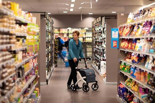 Upright Rollator Walker with Seat, Lightweight Folding Walker with Wheels and Shopping Bag V3035