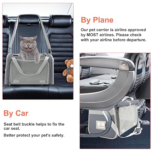 Large Soft Cat Carrier for Two Cats, Collapsible Travel Bag W22744