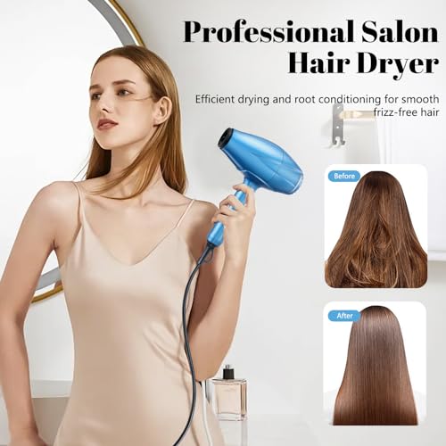 Professional Hair Dryer with Diffuser and Concentrator Nozzle R446
