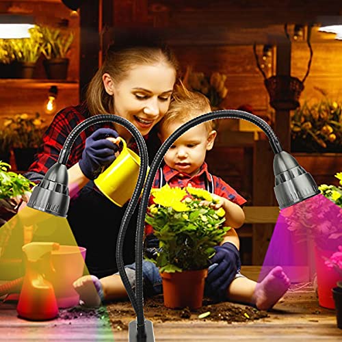Grow Light for Indoor Plants, Gooseneck Clip-on Lamp with Timer C16392