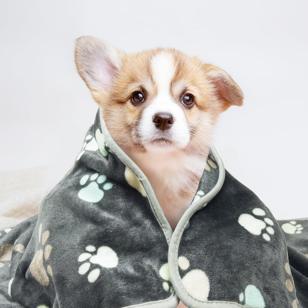 3Pack Heart Pattern Super Soft Fluffy Pet Blankets for Dogs Cats B5879