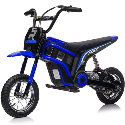 24V Kids Dirt Bike with 350W Motor, 14.29MPH Max Off-Road Bike, Kids Electric Motorcycle with Superior Suspension,12in EVA Inflatable Tires and MP3 Player for Kids 8-12 (Pink)