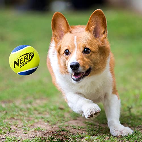 Dog Tennis Ball Toy with Squeaker, 2.5 Inches, 3 Pack Y88390
