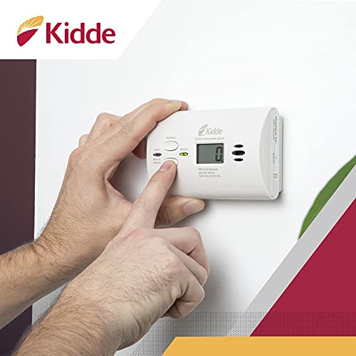 Carbon Monoxide Detector, AA Battery Powered CO Alarm with LEDs X7018