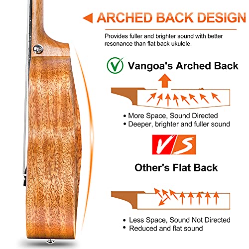 Concert Ukulele 23 Inch with Complete Kit for Beginners Y28318